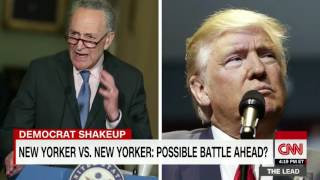 Sen  Schumer to lead Dems against Trump