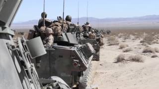 1st LAR participates in Desert Scimitar