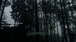 Story'Wa||Hujan suasana di hutan