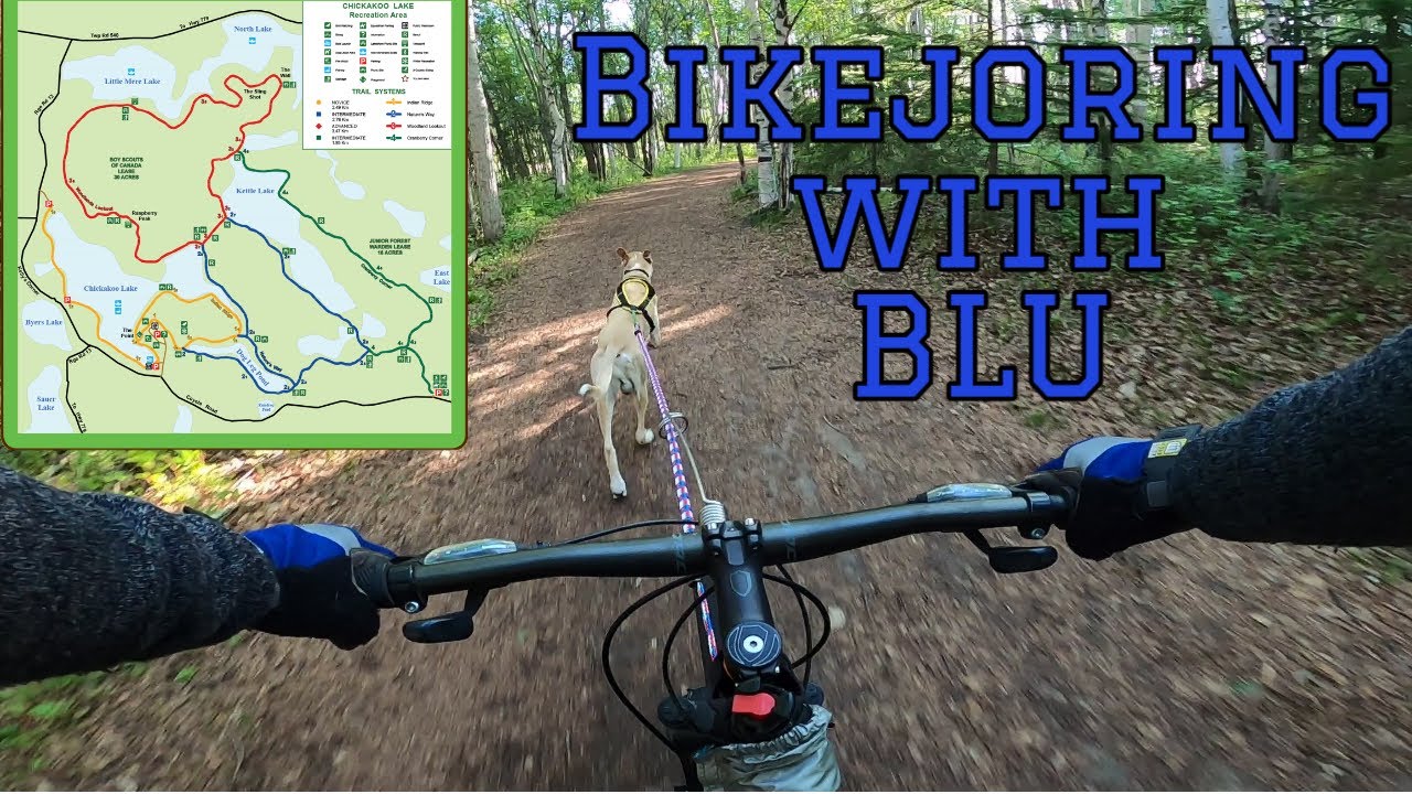 Chickakoo Lake with Eurohound Blu