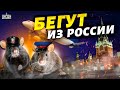 Путинская банда удрала на Запад. Матвиенко с Госдумой прощаются с Россией