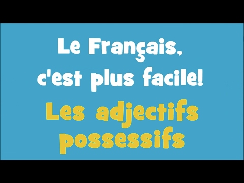 Le Français, c&rsquo;est plus facile! - 1/16 Les adjectifs possessifs