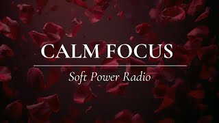 Music To Calm An Overstimulated Mind | Soft Power Focus Sessions