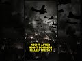 The Night Bombings That Never Stopped #ww2 #airraid