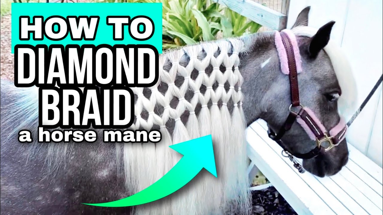 How to Diamond Braid a Mane 💠 Horse Braiding Tutorial 