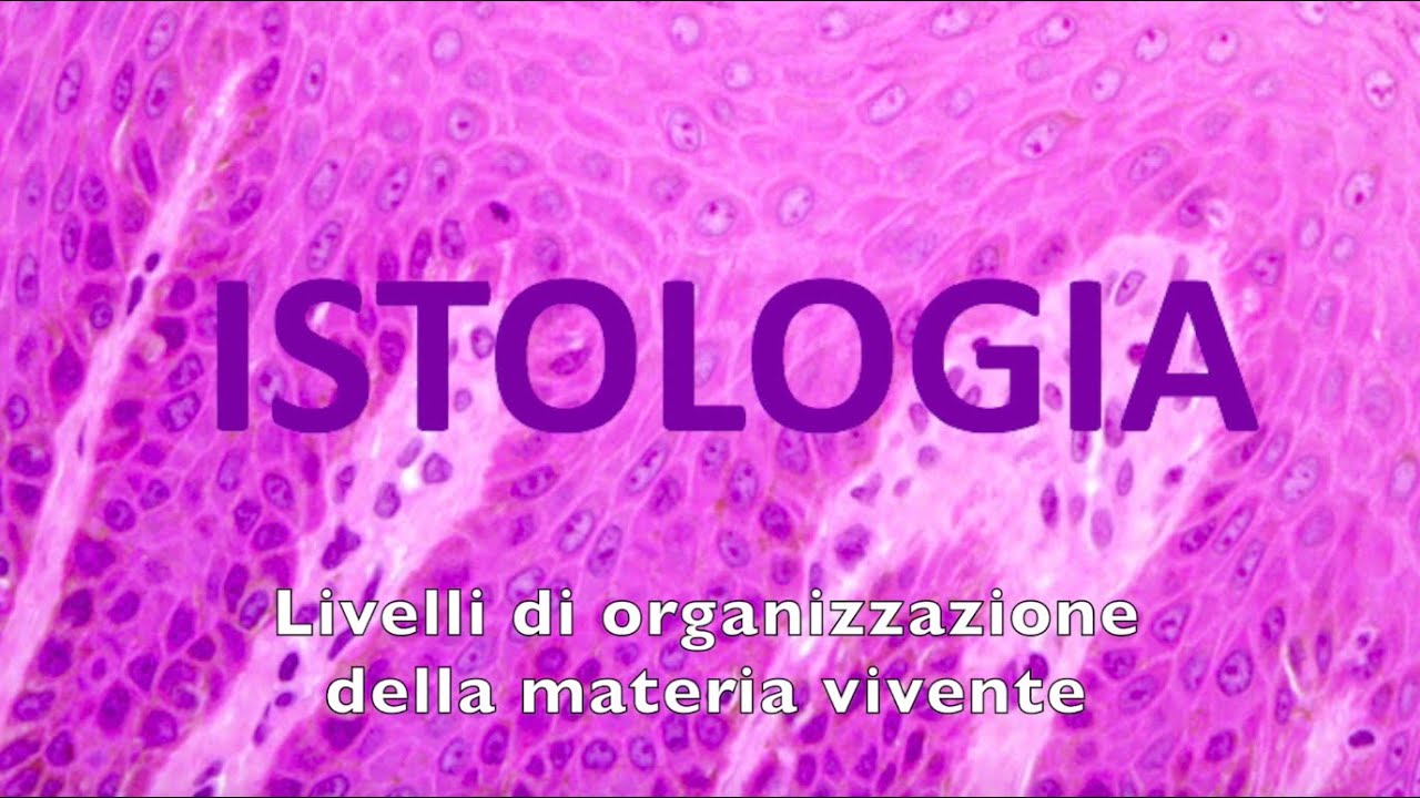 ISTOLOGIA Livelli di organizzazione della materia vivente