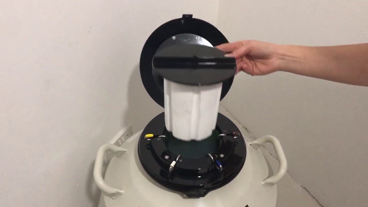 Embryo Freezing in Cyprus | euroCARE IVF Center Cyprus