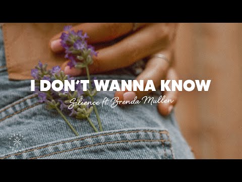Silience - I Don't Wanna Know (Lyrics) ft. Brenda Mullen