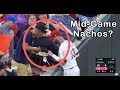 MLB Funny Moments ᴴᴰ