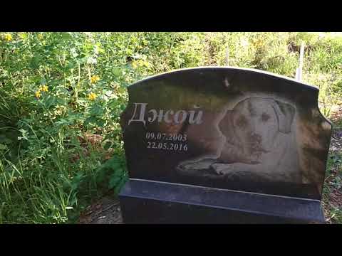 Лесное кладбище животных