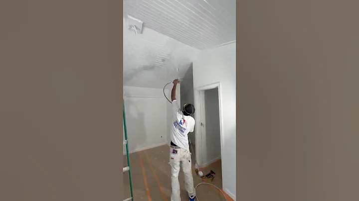 Imperial Painting Contractors painting 🎨🏠 #tinyhouse #tinyhome #newconstruction