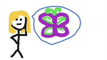 Learn about Citizen Science