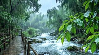 No Ads. Fall Asleep Naturally with Heavy Rain on a Forest Stream | ASMR Rain Sounds on a Forest Lake