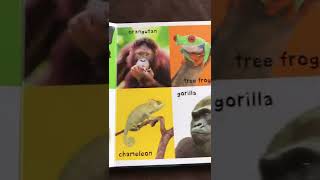First 100 animals (mid)