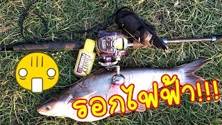 เอารอกไฟฟ้าไปตกปลาสวาย by fishingEZ