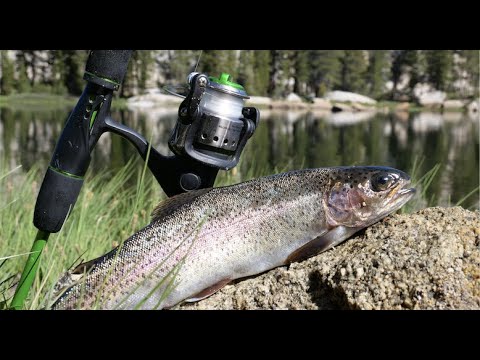 Rainbow Trout Catch & Cook! Backpacking the Sierra Nevadas Ep. 5 ... - HqDefault