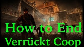 How to End Verrückt Coop with: veKtik