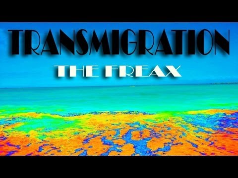 Transmigration — Transmigration - The Freax