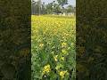 I Love My India #shortvideo