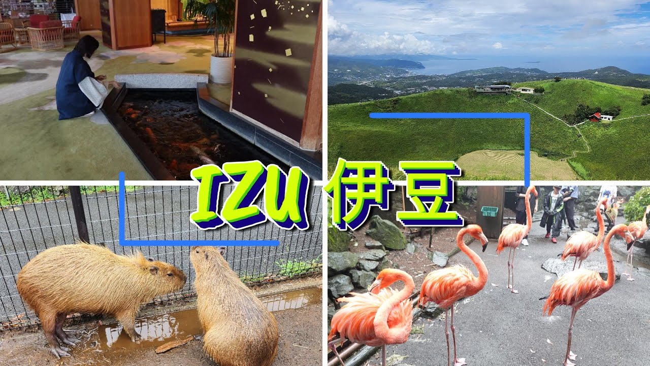 [日本伊豆上集] Japan Izu Part 1大室山&伊豆仙人掌動物工公園&稲取銀水莊飯店 Mt.Omuro & Izu Shaboten Zoo & Hotel Inatori Ginsuiso