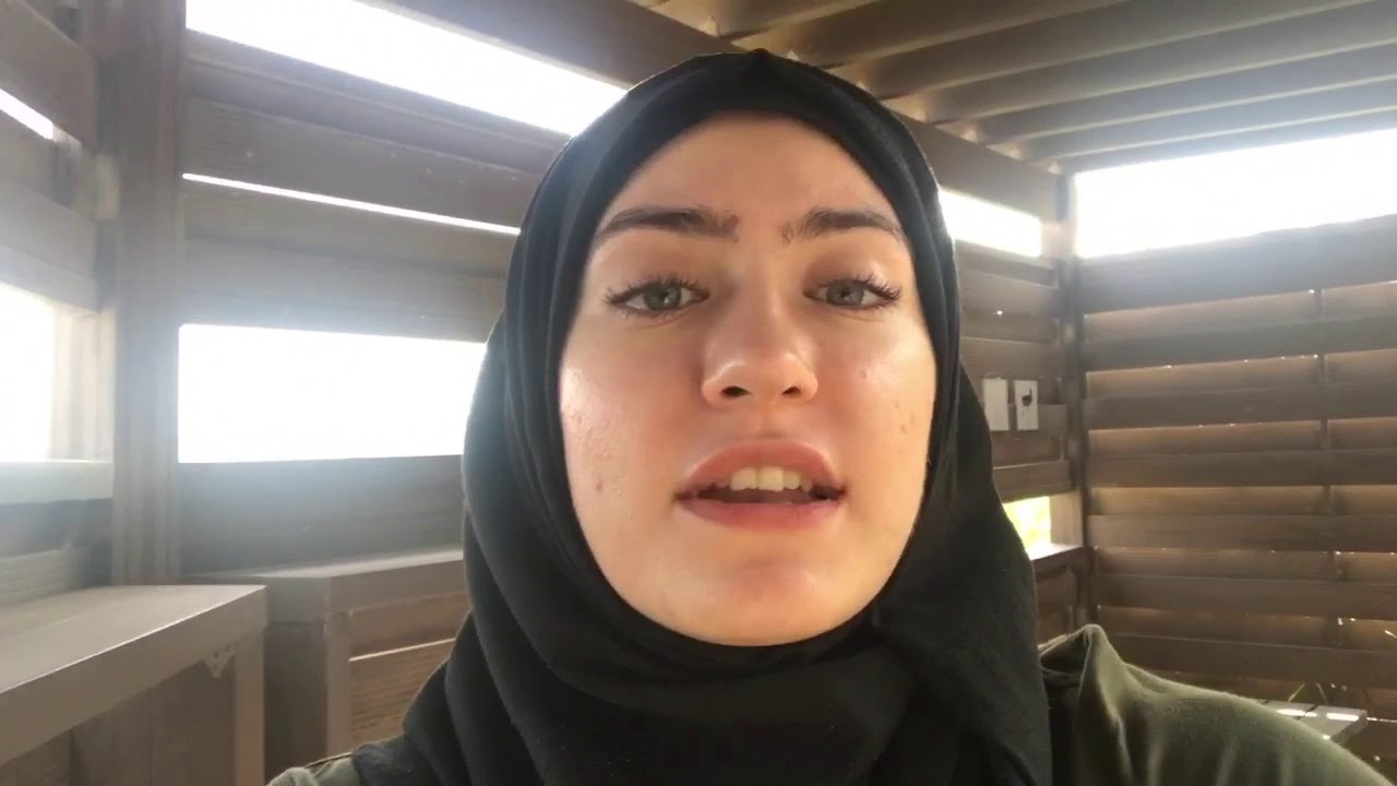 Wasit Wetland Project