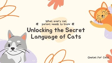 Decode Your Cat’s Body Language: Secrets to Understanding Your Feline Friend 😻
