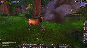 Quest Harrying The Hunters In Wow