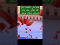 Saalo Aalal Habib P B U H Shorts Youtube Shorts Darood
