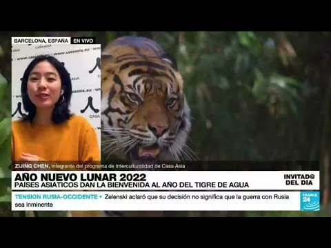 Video: ¿Por qué es desafortunado el año del tigre?