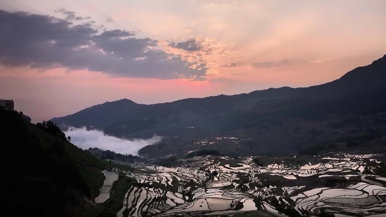 Yunnan's centuries-old rice terraces reinvigorated by tourism boost