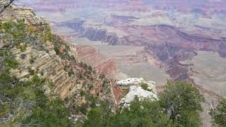 Famous Along the 10 million year trail at the Grand Canyon Wealth