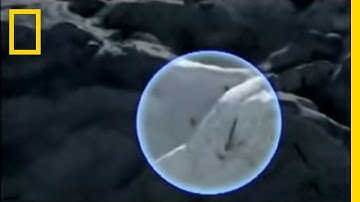 Inches from an Avalanche | National Geographic