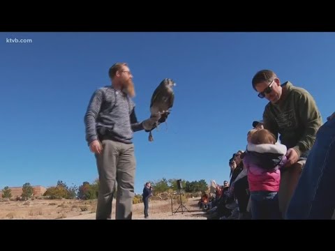 Video: Care este cuvântul postflight?