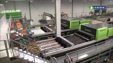 GREEFA - Frutinter - SmartSort 8 + 10 lane grading machines for tangerines and oranges in Spain