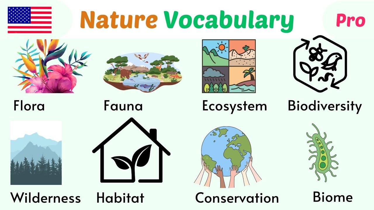 Природа английский 6 класс. Nature Vocabulary. Nature Words. Nature Vocab Words. Гармония по английскому природа.