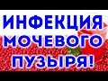 Это УНИЧТОЖИТ и ПРЕДОТВРАТИТ ВСЕ ИНФЕКЦИИ мочевого пузыря! Народными средствами!