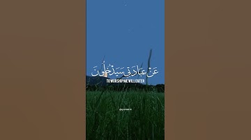 سورة غافر سعد الغامدي