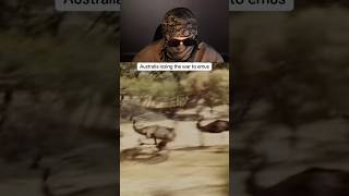 Australia losing the war to emus #foryou #youtubeshorts #youtube #live