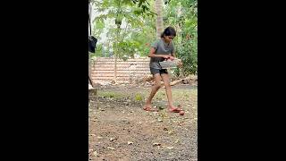 മാങ്ങ കൊടുക്കാം🥭 #shortsfeed# #trending#mago#fruits#harvesting# #minivlog#dayinmylife#sharing