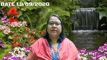 Class 1 Sec- C English (Module 1) Revision 19/09/2020@SFSNARENGI