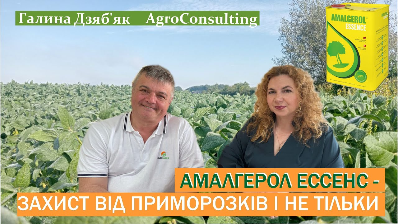 ІГОР ЛУШПАНОВ-технічний експерт «САММІТ-АГРО-ЮКРЕЙН»: АМАЛГЕРОЛ ЕССЕНС- біостимулянт та антистресант