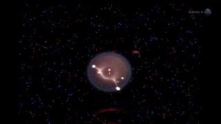 ScienceCasts: Jellyfish Flame on the International Space Station
