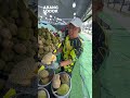 Durian Longgok 20 Biji Rm 100 #foodie #food #foodshorts #makan #makananviral #makanan