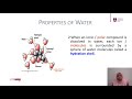 The Unique Properties Of Water And Their Impact On Life