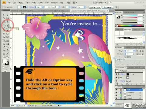 Illustrator CS4 101: Core Illustrator CS4 - 05. Accessing Flyout Tools