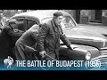 The battle of budapest hungarian revolution 1956  british path