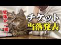 【緊急動画】まさかの桑田佳祐ライブチケット当落発表！