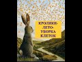 КРОЛИКИ-ЛЕТО-ЖАРА-УБОРКА КЛЕТОК-ОТПУСК ДЛЯ КРОЛЬЧИХ