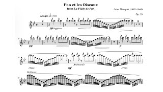 Jules Mouquet La Flûte De Pan Op. 15, 2Nd Movt 58 Moderate Piano Accompaniment
