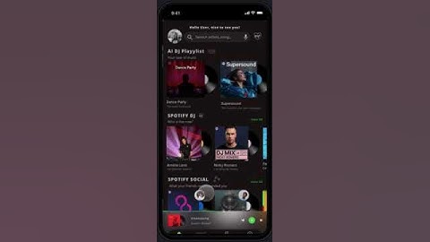 VIDEO prototype spotify dj